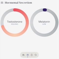 Hormonal Panel