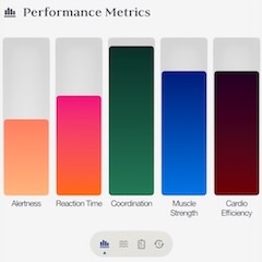 Performance Panel