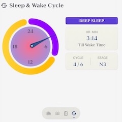Sleep Cycle Panel